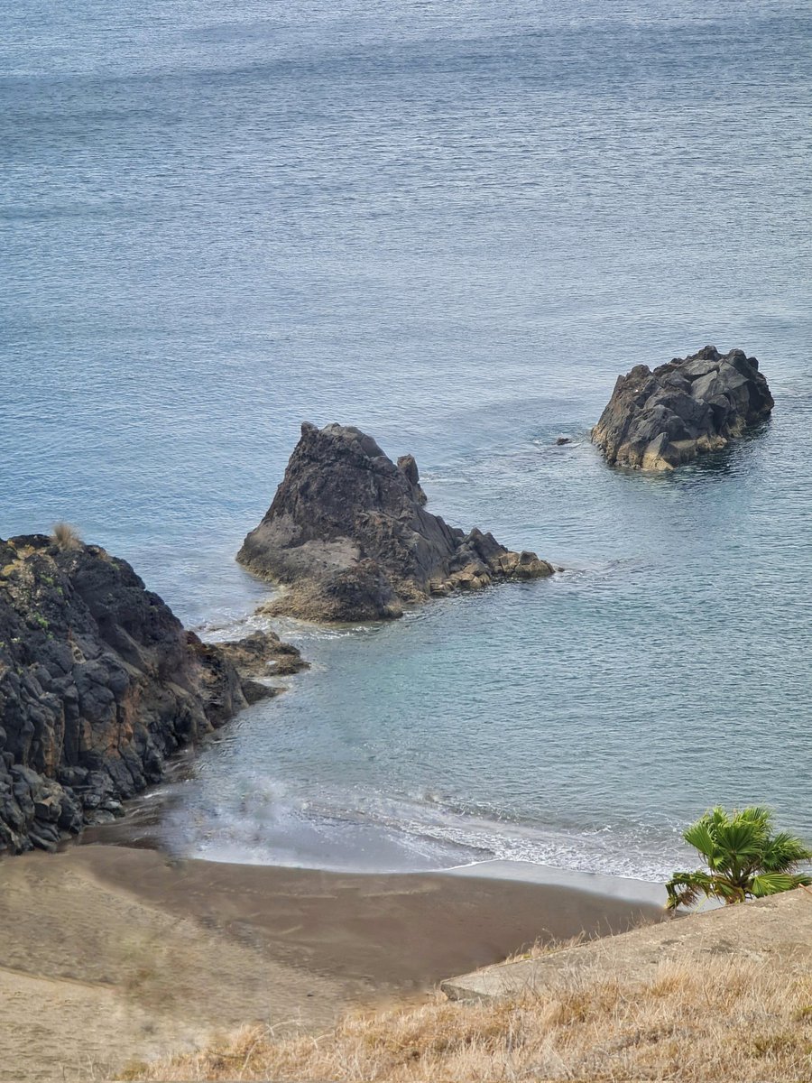 Mr.Global 🌐 tweet media