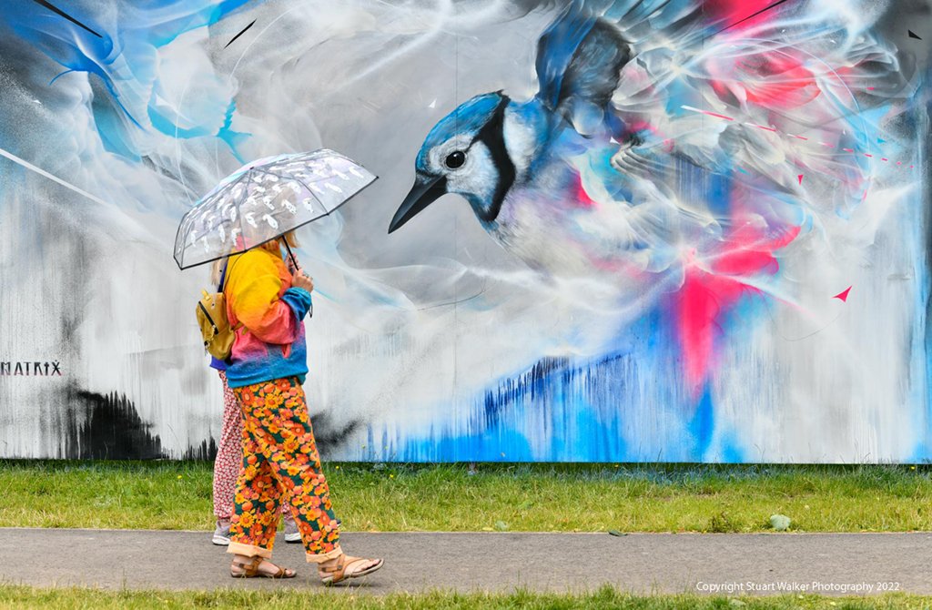 StuWalkerPhotos's tweet image. World renowned Street Artists take part in The Northern Paint Fest in Carlisle, Cumbria.
