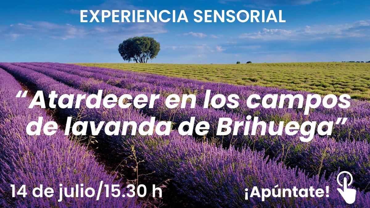 COFMadrid's tweet photo. 📢Aprovecha la oportunidad de vivir el atardecer en los campos de Lavanda en #Brihuega en nuestras #ActividadesCulturales. Hemos organizado una escapada con visita guiada privada.
📆 Jueves, 14 de julio de 2022
🕞A partir de las 15:30 h.
¿Te apuntas? https://t.co/sKtG1GpJZW https://t.co/D097j2rWV6