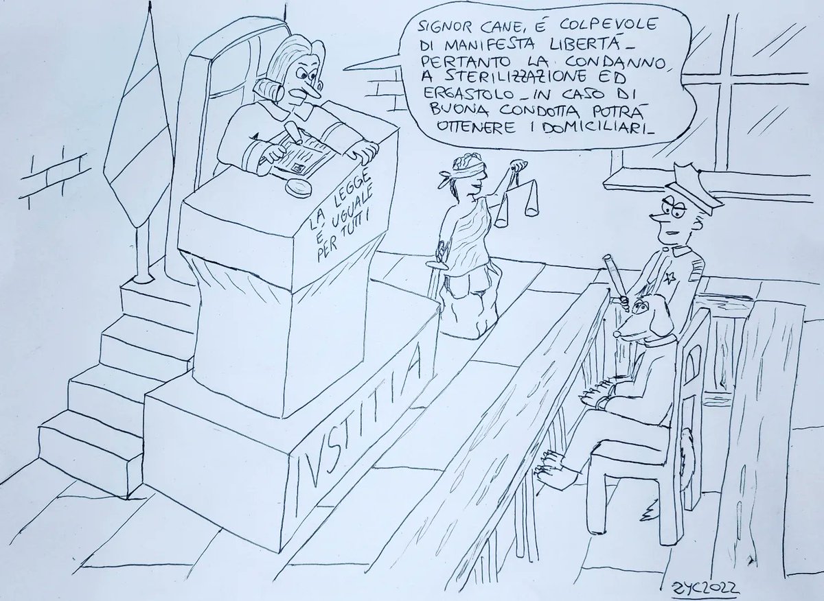vignettelibere's tweet photo. #vignette #cartoons #satira #satire #cani #dogs #animali #animals #randagi #stray #legge #law #randagismo #canirandagi #straydogs #canili #shelter #shelterdogs #vignettedivertenti #funnycartoons #umorismo #humor https://t.co/bW01m1HjnZ