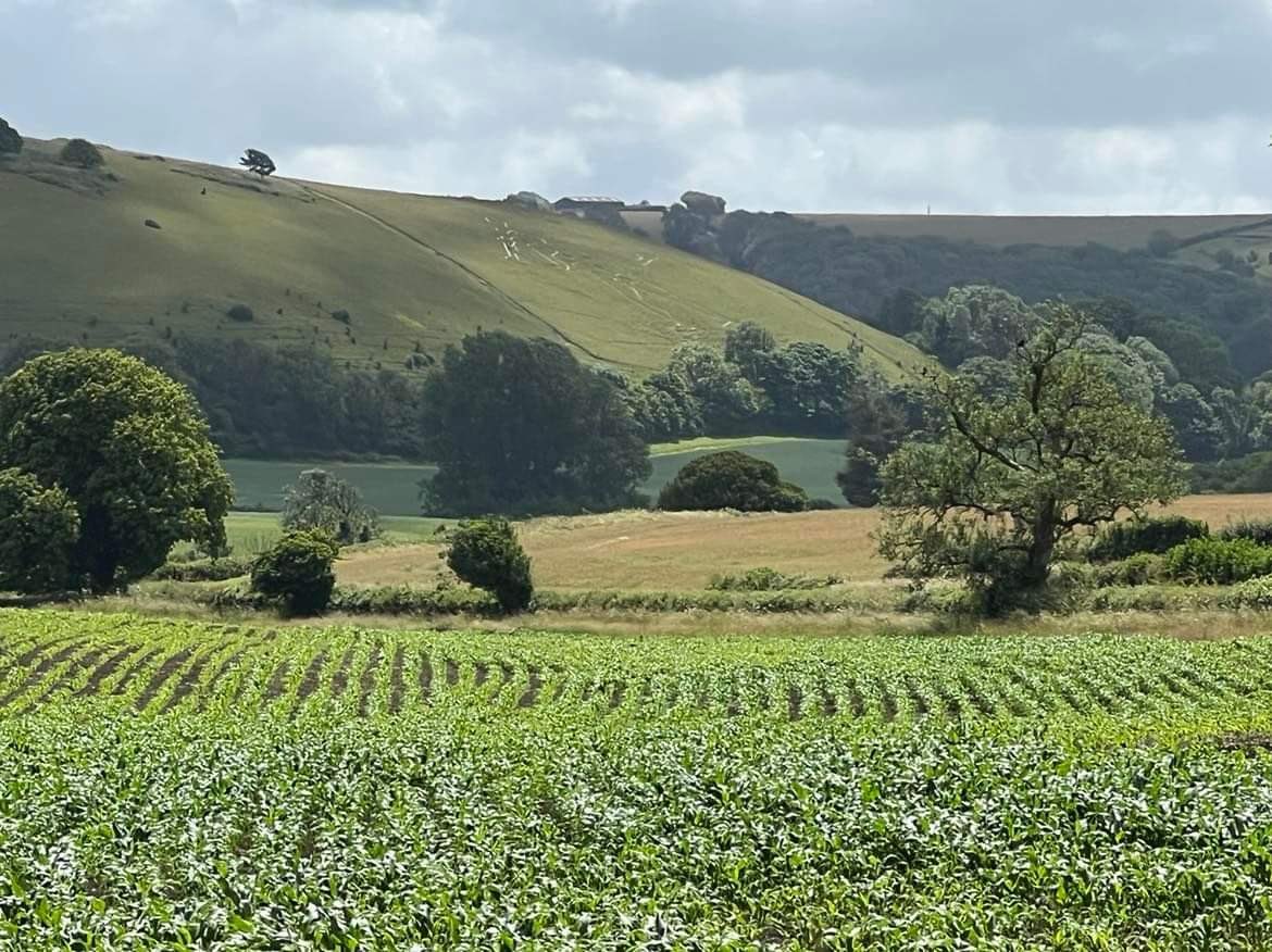 WhiteZoey's tweet photo. Found the Giant, he’s not too easy to spot but he is there. Job Done ✅ #running #KeepRunningRural #WSR https://t.co/omRO32X8Lc