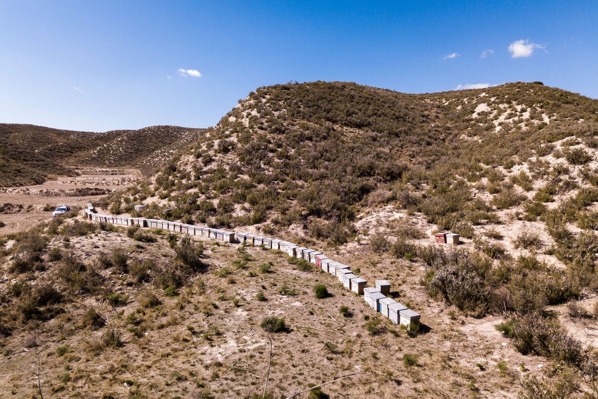 VDVRockFest's tweet image. Seguimos con un nuevo patrocinador del @VDVRockFest que es miel Tío Juan Cruz y sus 3000 colmenas distribuidas por el territorio español que nos ofrece miel de alta calidad de diversos tipos en función de la región y su ecosistema
mieltiojuancruz.com 
teandgo.es