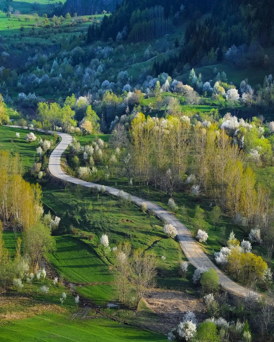 Artvin, Şavşat’a gitmeliyiz.