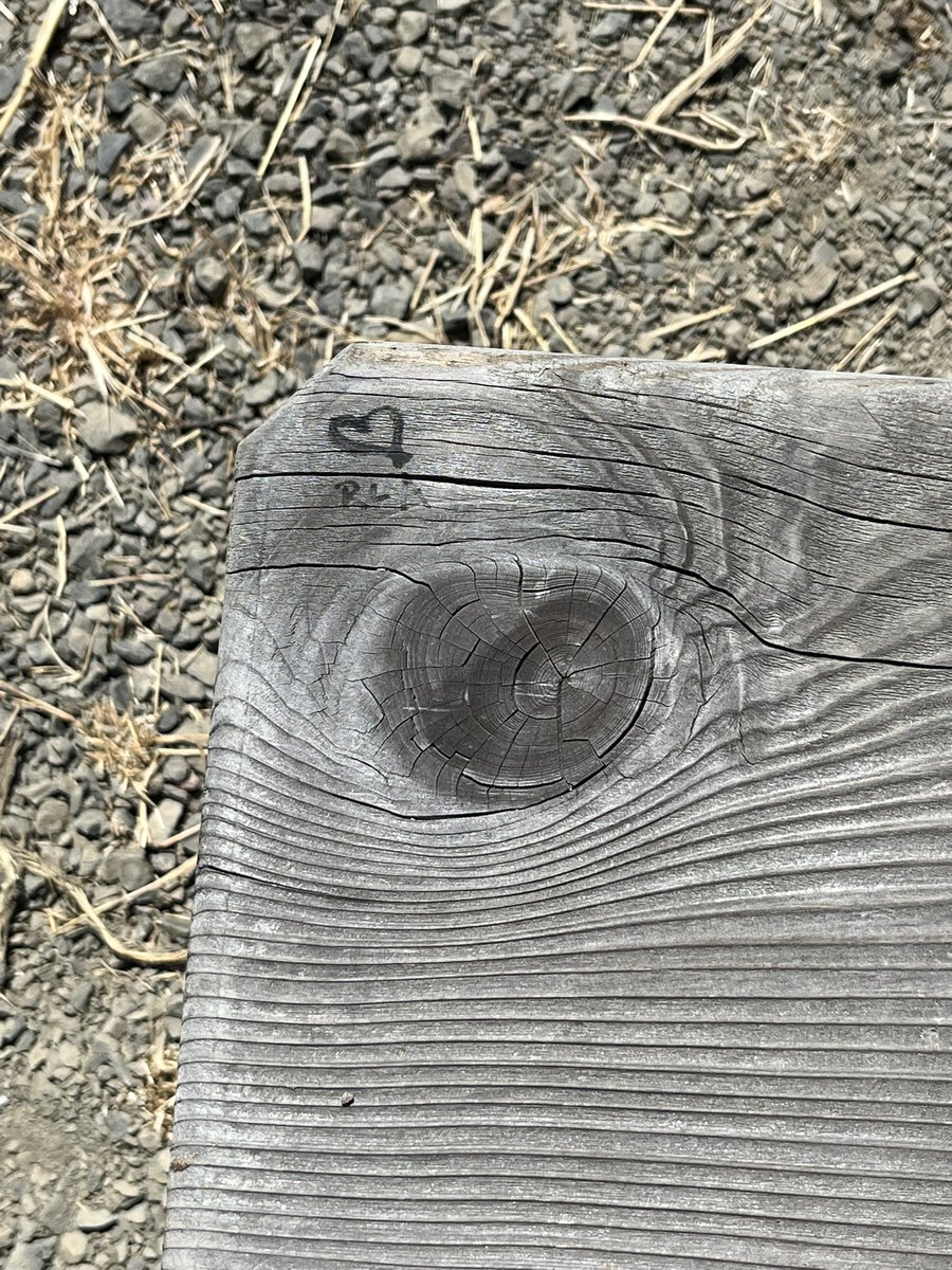 daveseter's tweet image. Sending a little love today. Stay strong women of the world. #heart #heartwood #yougottahaveheart #love   #sanpablobaynationalwildliferefuge