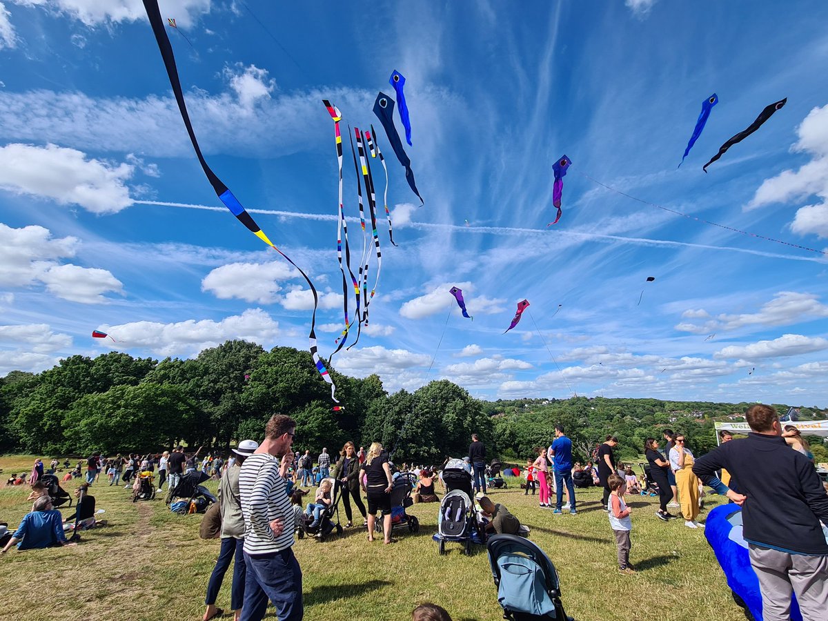 The Heath & Hampstead Society Fighting to preserve the wild and