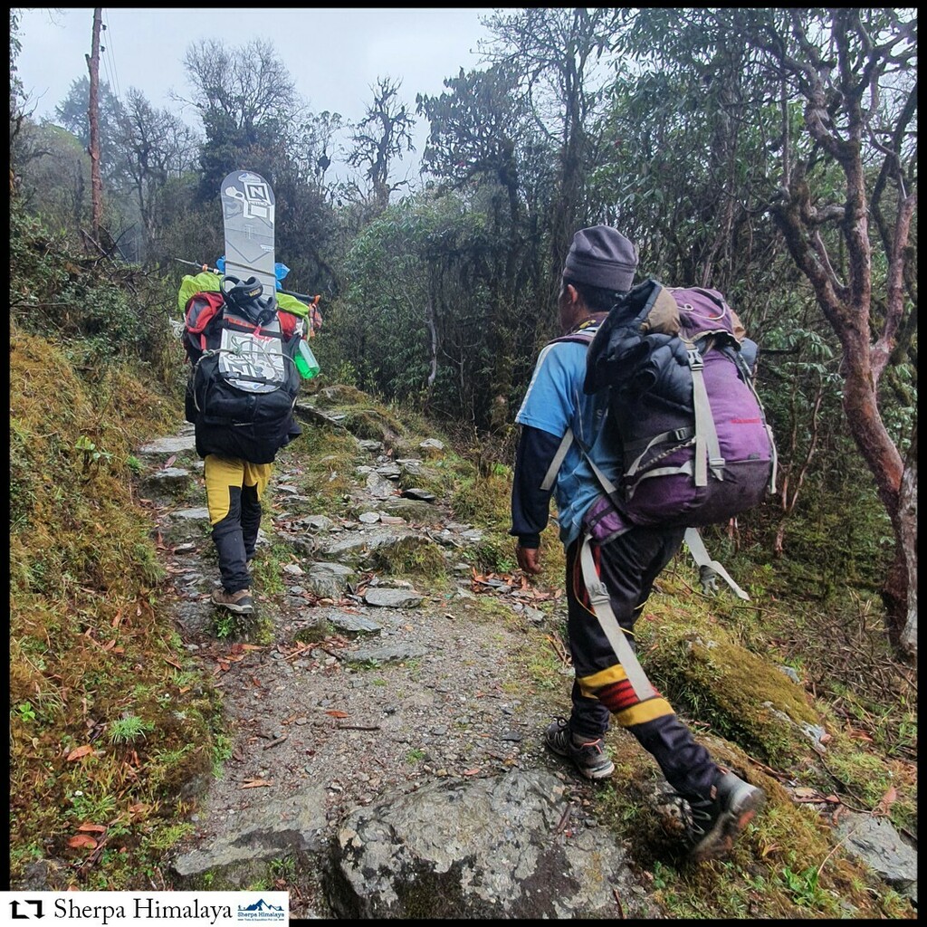 SherpaLtd's tweet photo. We Sherpa Himalaya express great respect to porters who plays a very vital role in making your trip much comfort and easy. The main person behind every wilderness and mountain expedition travels in Nepal. https://t.co/LXyz1sydHl