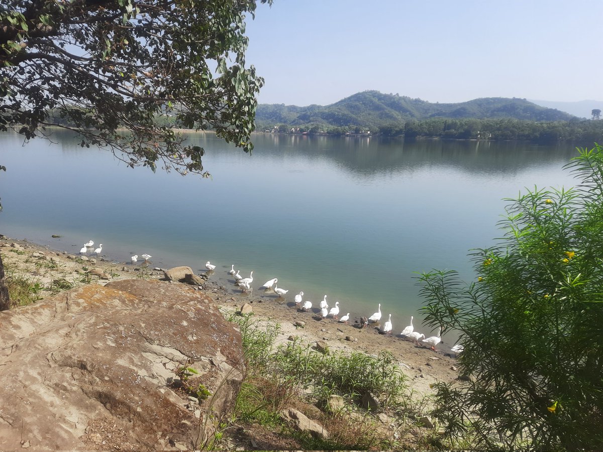 Gash_Tarukh's tweet photo. #Mansar Do visit when in Jammu. Stay @JandKTourism
#hotelalpine One day well spent. @JammuTourism @DrJitendraSingh @DrGnitoo @Jammu4India @incredibleindia @rajjajammuwala https://t.co/8LKGdMrN7G