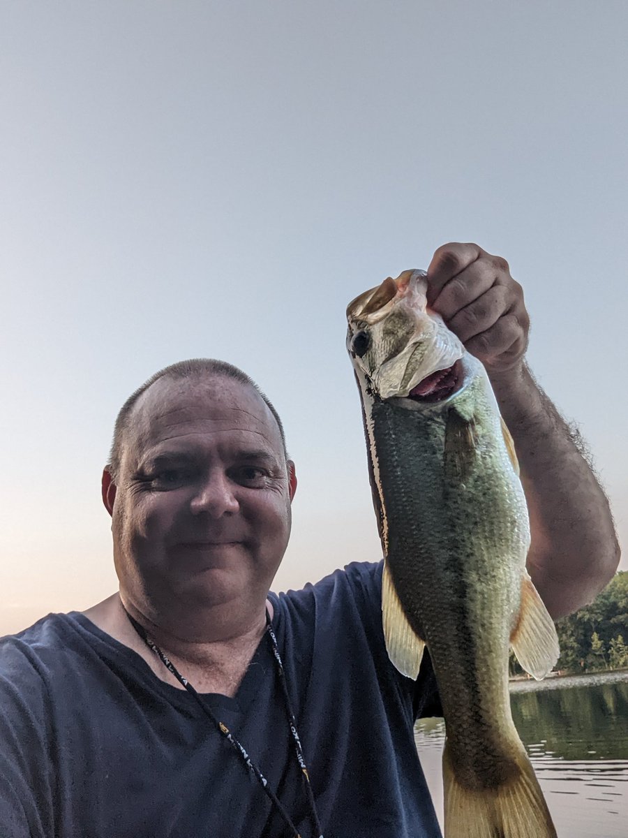 The Bald (@thebaldreviewer) on Twitter photo 
