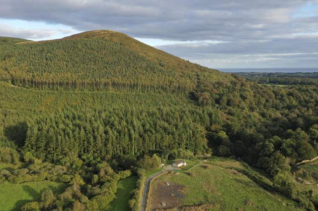 '#WoodlandTrust hopes to turn #MournePark (nr #Kilkeel in #CoDown, on edge of the #MourneMountains, an #AONB) into a popular visitor attraction' #rewilding #redsrule #redsquirrelsrule #redsquirrelsouthwest #redsquirrels #redsquirrel #britishredsquirrel bit.ly/3tJrtdR