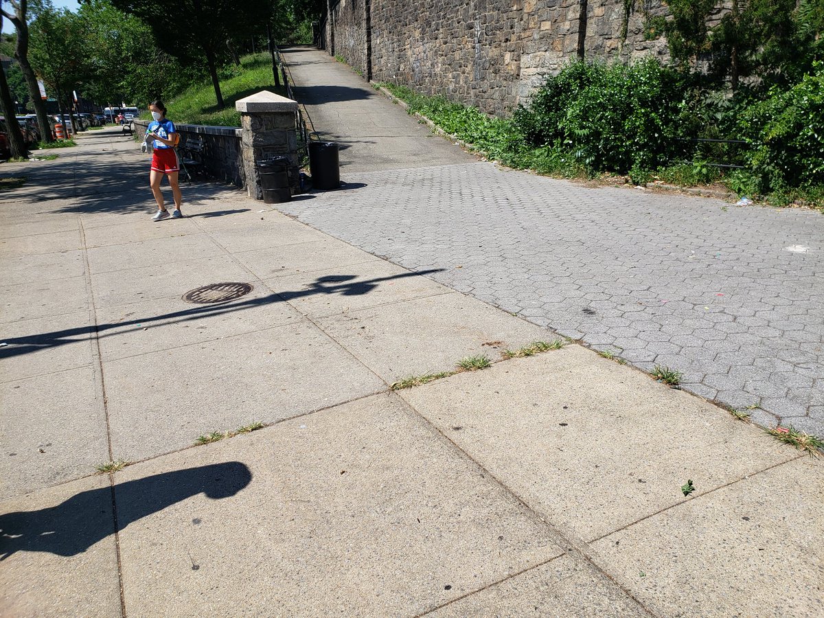 Friendsof4Parks's tweet photo. Looks better without loose trash. Community members that live on the Concourse voiced their frustrations to us. One resident said they try to tell these party groups to dispose of their waste properly, but once the groups are drinking the situation gets "dangerous" https://t.co/e6V6FPM2FI