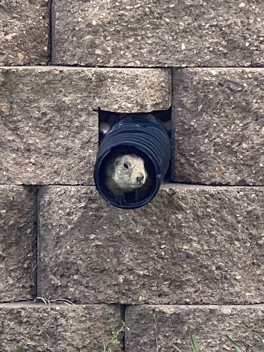 As I await crypto summer