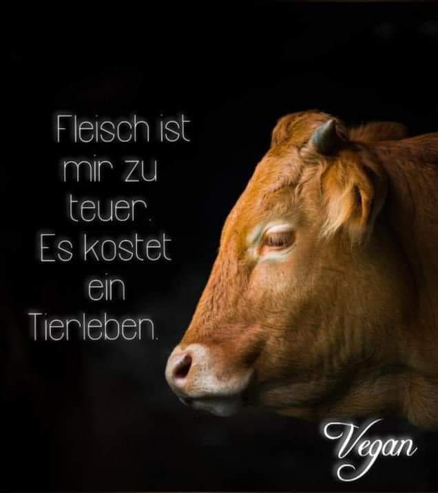 Veganabird's tweet image. #TierehabenRechte