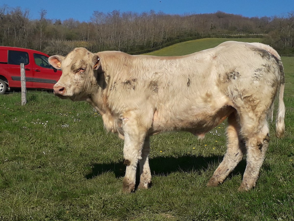 Lechevallier Arnaud tweet media