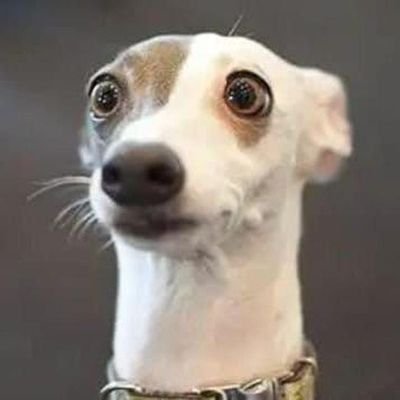 Starkclips_'s tweet photo. Me after seeing @BradleyCarlvin1 buying kikomando in kikoni😂😂 https://t.co/0JnSoCfrmT