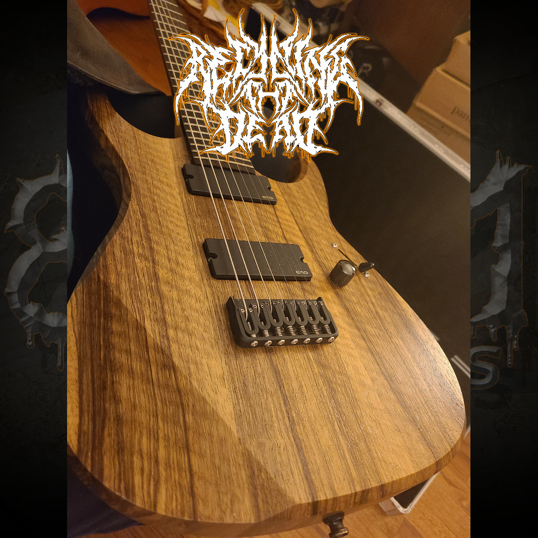 #westafricanblacklimba #customguitar
#limba #blacklimba #brutalvocals #deathmetal #deathmetalband #deathmetalmusic #heavymetal #metalhead #headbanger #brutalmusic #deathmetalguitarist #recyclingthedead #7string #7strings #emg #hipshot  #grovertuners #coffincase #7stringguitar