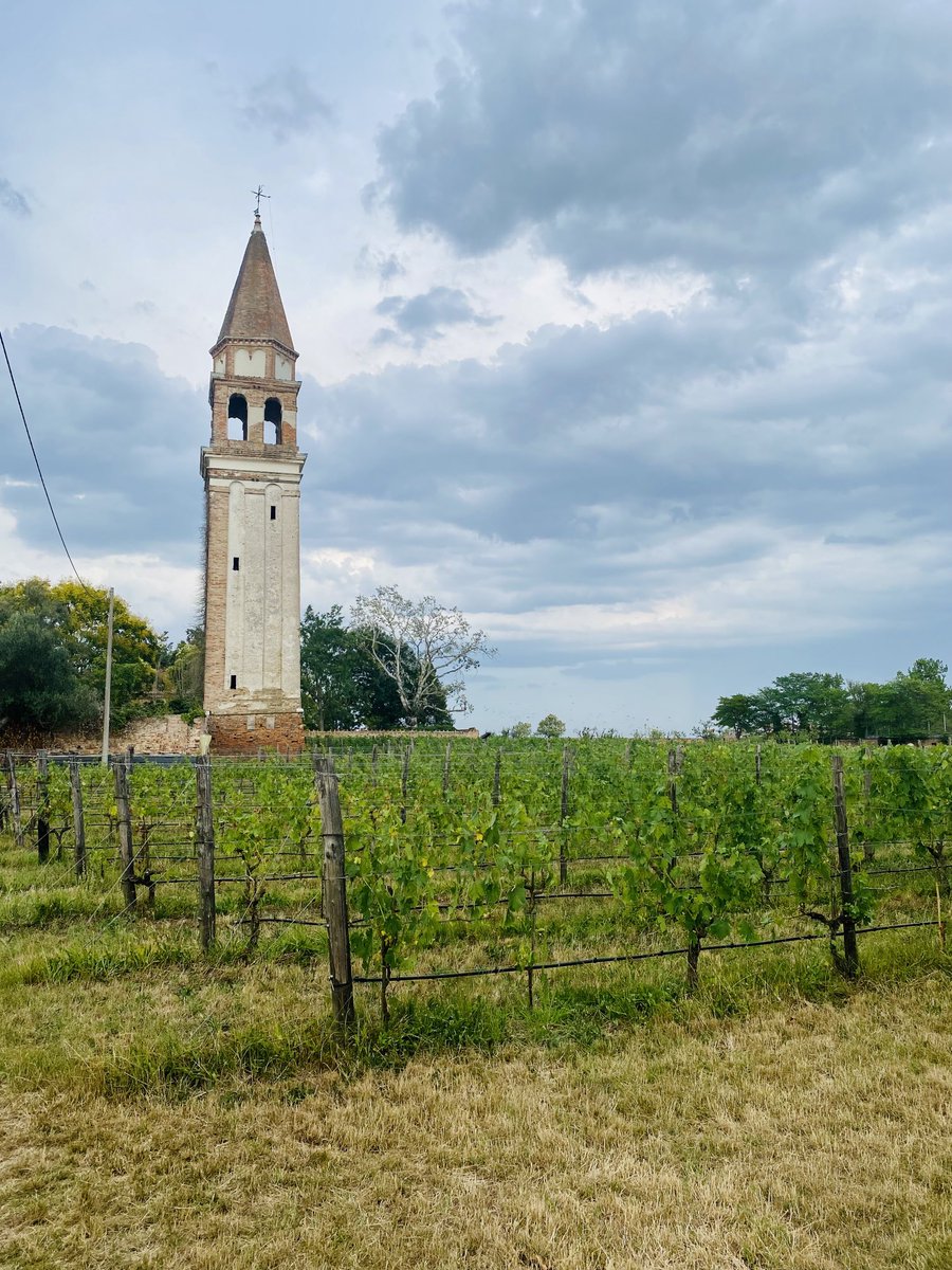 WymoreTroy's tweet photo. Enjoying my time in Italy after the #CECAM_QMMM workshop. Need to seriously investigate if there is some way to move to Europe. https://t.co/1BbHcqEJbQ