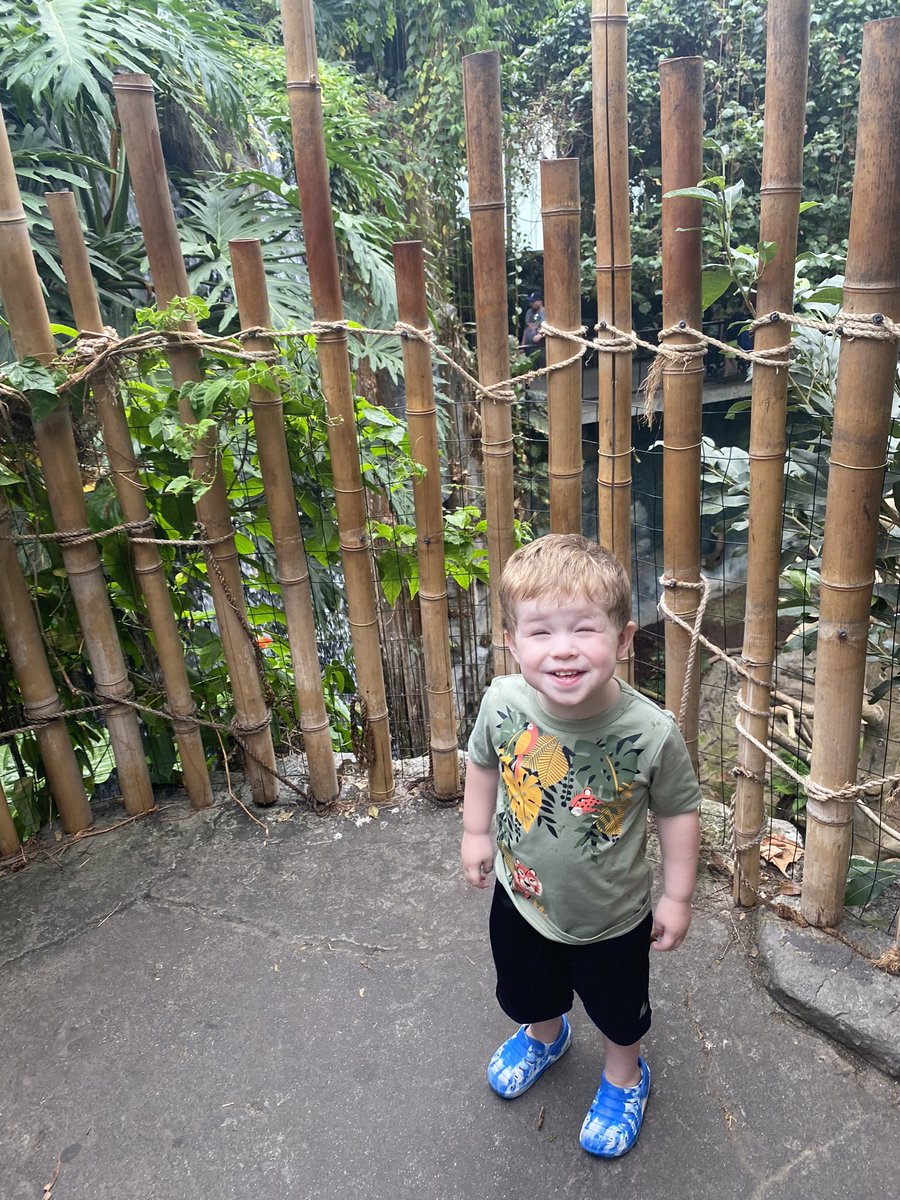 Lila_J_'s tweet photo. Smile Teddy! https://t.co/jaQl6178bU