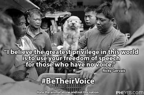 DeborahKeenan12's tweet photo. So do I #RickyGervais and if we All raised our voices against #YulinDogMeatFestival .Then maybe ,just maybe we will be heard .Together we can make a difference for those whose screams for help are not being heard.#Dogs and #Cats being tortured and killed. #ENDDCMT. https://t.co/yBY0BNiYRF