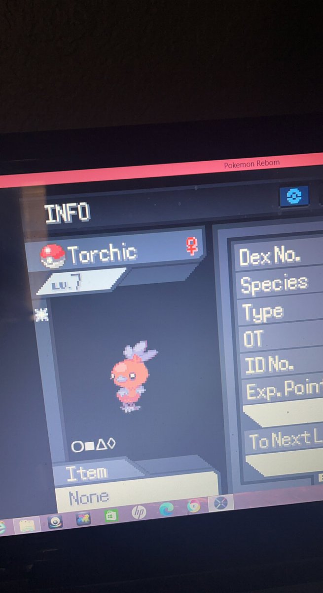 SupremeRoyal tweet media