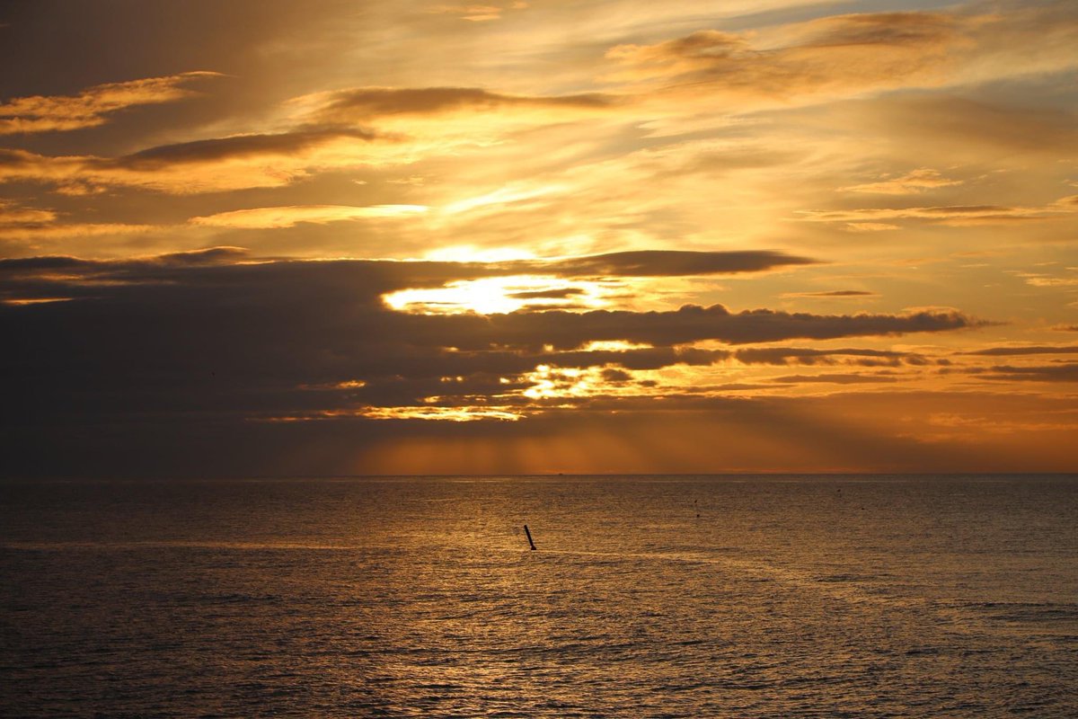 plingwood's tweet image. 