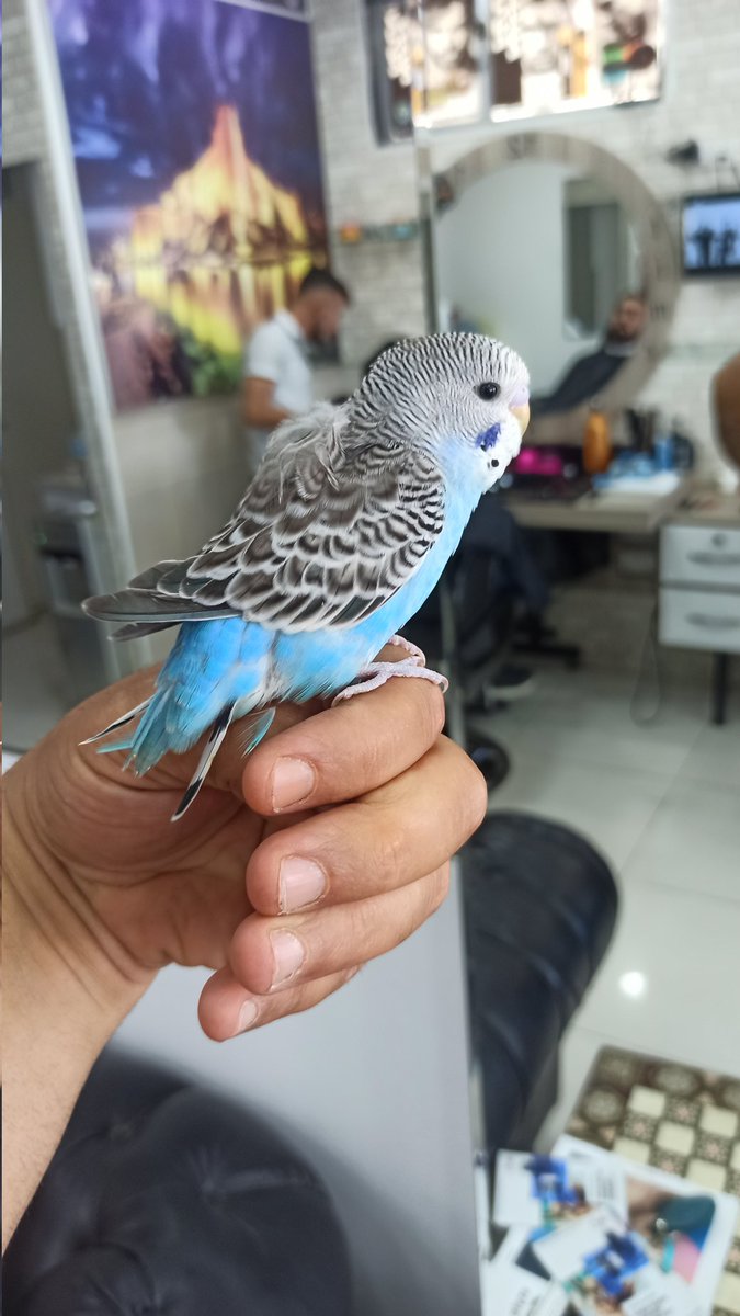 Mustafa56557359's tweet photo. https://t.co/hlt4LmRZwW