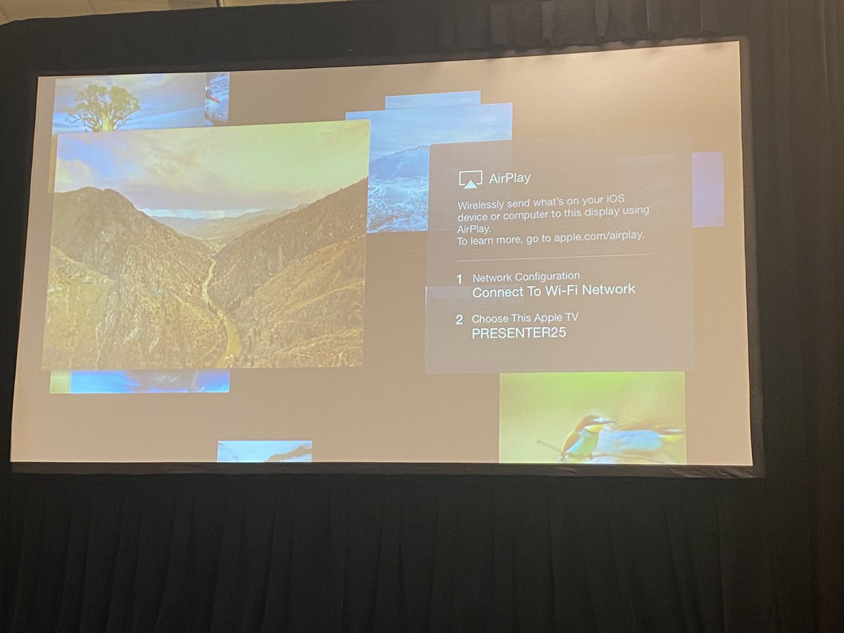 Don’t do it. I’m not in high school. DON’T DO IT! #istelive