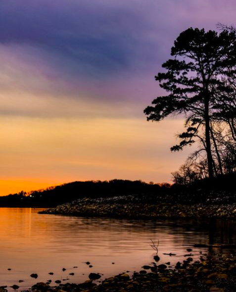 KarenPackett's tweet photo. Summer looks good on your Fort Loudoun Lake 😍 What's your favorite summer lake activity?
📸 @michellechute via Instagram
#fortloudounlake #tn #summer #lakes #lakelife #lake #tnlakes #sunset #summervibes #pretty #warm #lakeliving #lakelifestyle #lakehome #lakehomes https://t.co/oham5LfCsR
