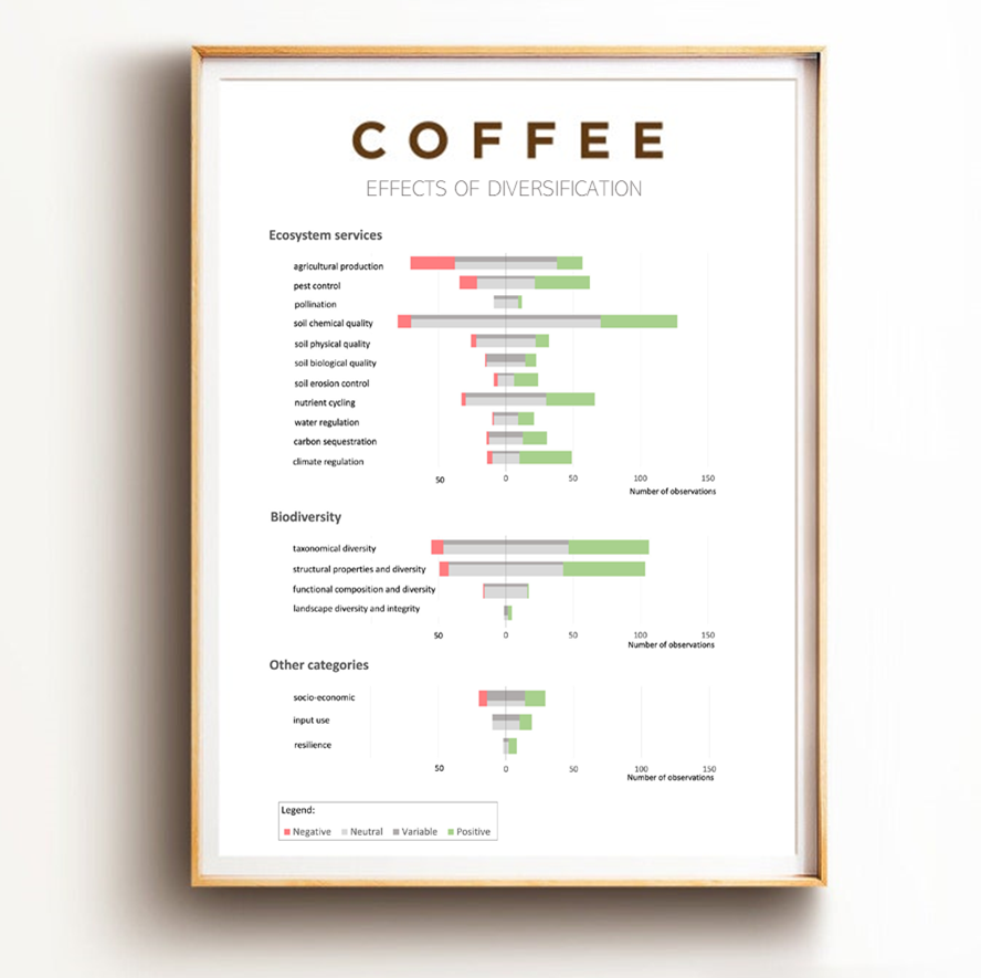 ☕️Coffee:  How do diverse agroforestry systems measure up against full-sun coffee production? Our own Heitor Teixeira assessed 215 studies from 4 continents and found on balance:
🐝Ecosystem services ⬆️
🫘 Except yields⬇️
🪙 But... socio-economics⬆️
Paper: link.springer.com/article/10.100…