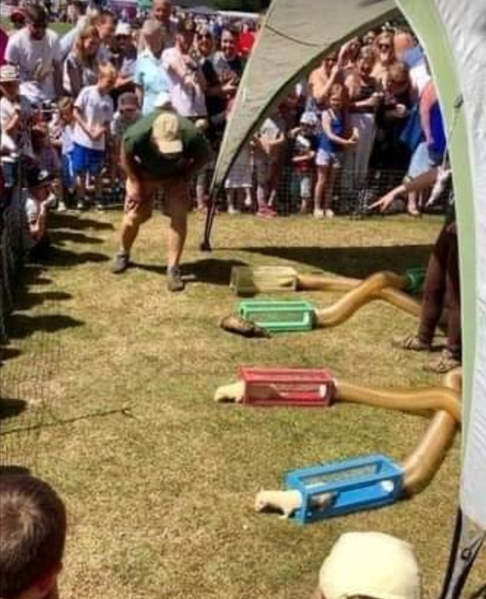 Tony__Yorkshire's tweet photo. Sun was out for #HorburyShow today 😎☀️👍 #olws #cakes #ferrets https://t.co/jZgWTBctMv