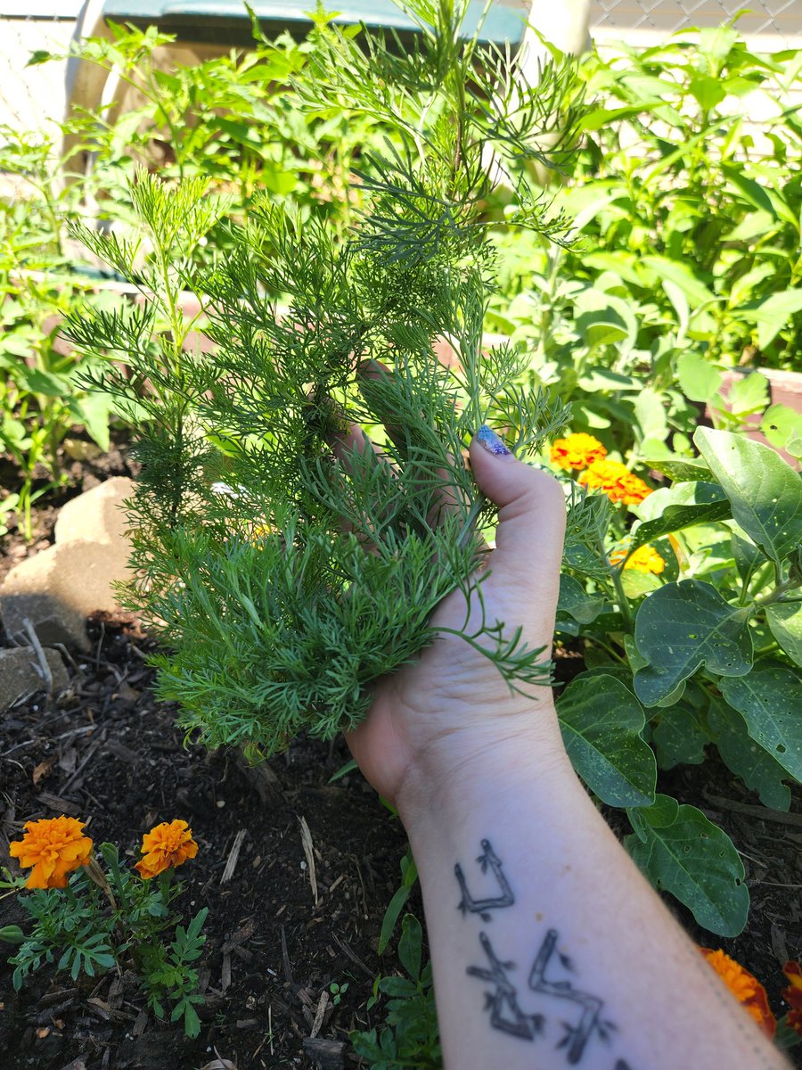 Rowan Marx tweet media