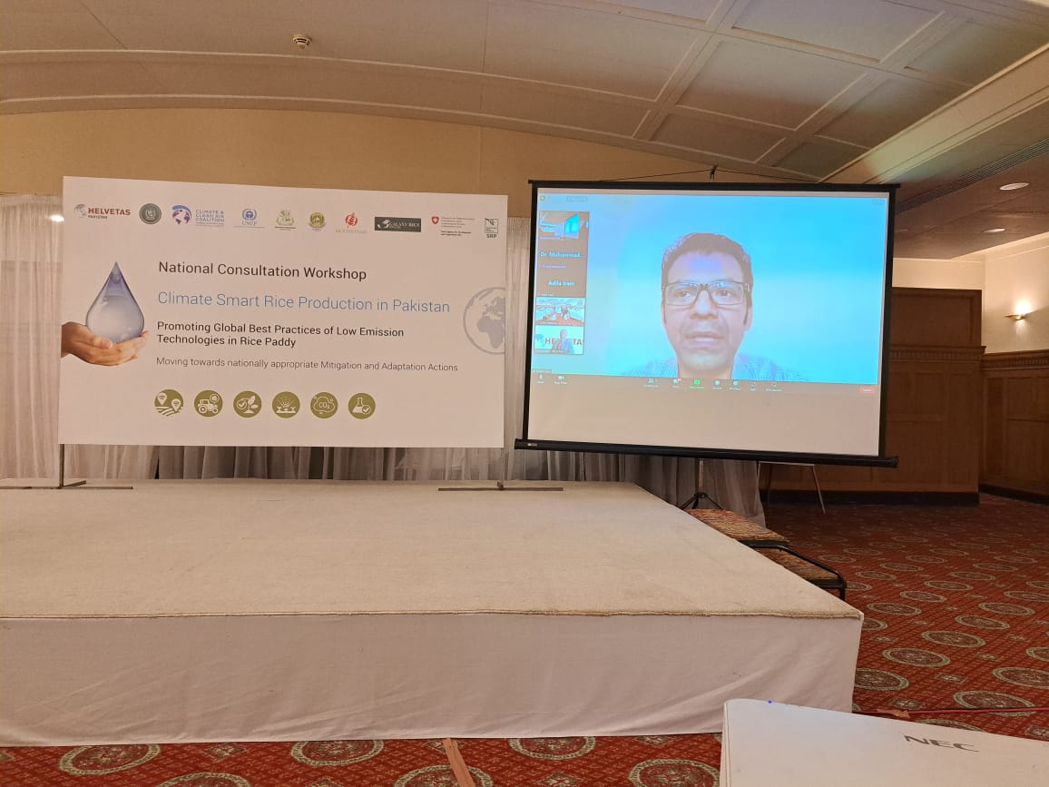 ImranSheikh_SRP's tweet photo. Great News for Rice sector Pakistan breaked by Shahid Tarer Convener Pakistan Basmati Heritage Foundation for establishing SRP National Chapter in Pakistan on the behalf of Dr Wyn Ellis SRP Secretariat. Thanks SDC &amp; Helvetas Dr Jens Soth, Dr Arjumand Nizami &amp; MARS, Westmill,Herba https://t.co/LS9WpiXx1P