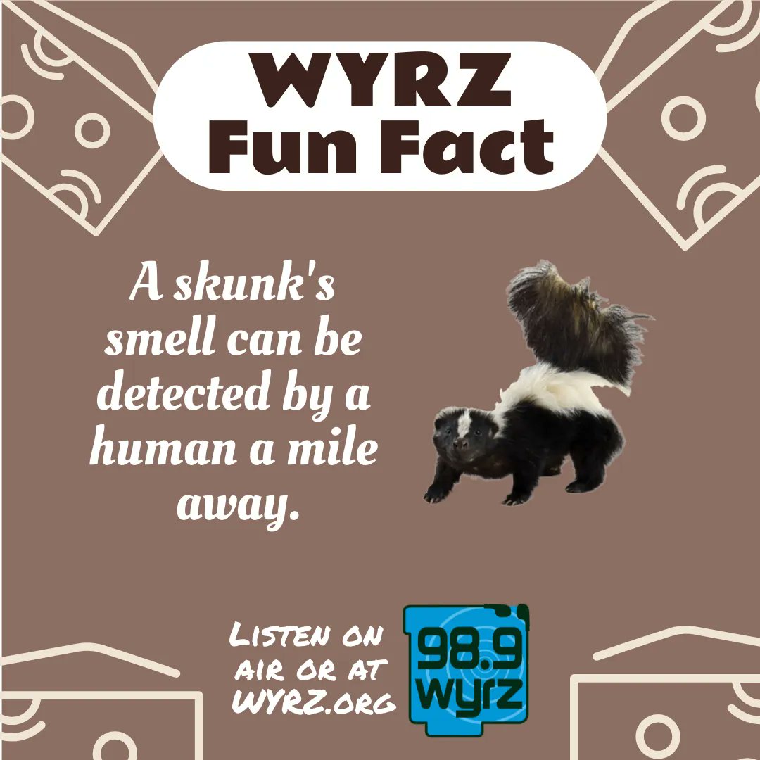 WYRZ989's tweet image. Want more fun?  Listen to us at work, at home or in the car.  Tune in 98.9FM locally or WYRZ.org or check us out on the TuneIn Radio App!
#FunFact #WYRZ
