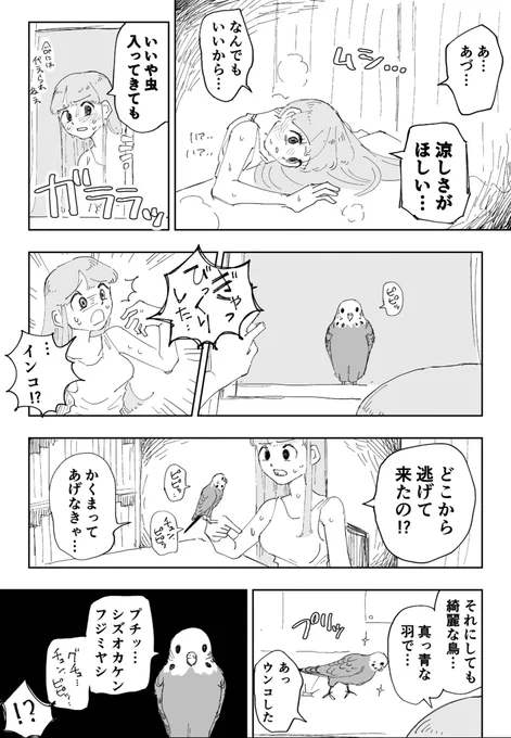 🐦迷いインコ🐦 