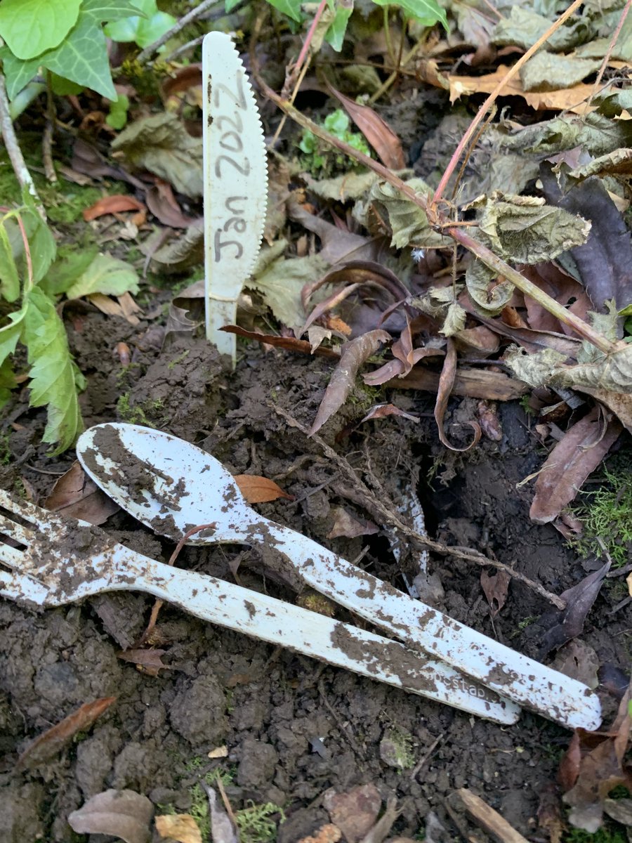 barbwonttweet's tweet photo. Fyi ’compostable’ utensils buried for 6 months are still in perfect condition. I’ll check back in January.
#econerd 🌏 https://t.co/slb8eDsWte