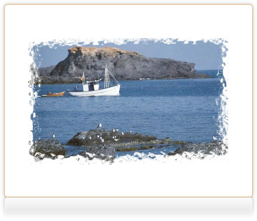 cabodepalos tweet media