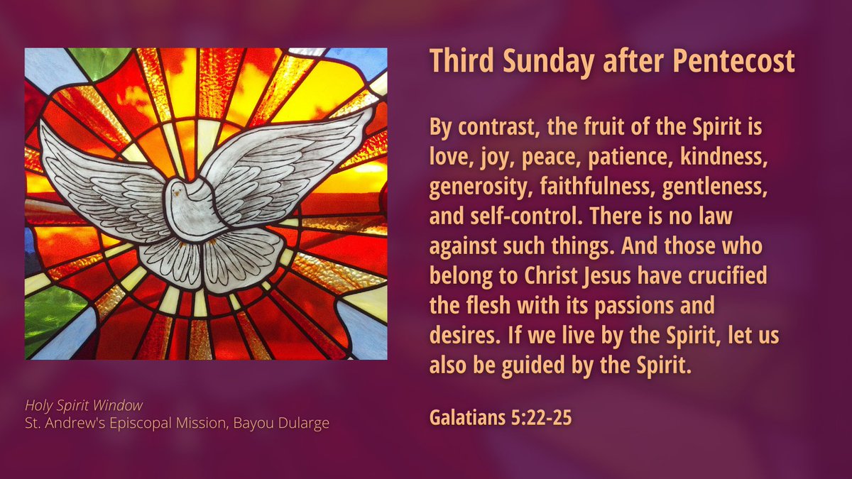 edolaorg's tweet photo. Almighty God, you have built your Church upon the foundation of the apostles and prophets, Jesus Christ himself being the chief cornerstone: Grant us so to be joined together in unity of spirit by their teaching, that we may be made a holy temple acceptable to you... https://t.co/JP9CiZwaBZ