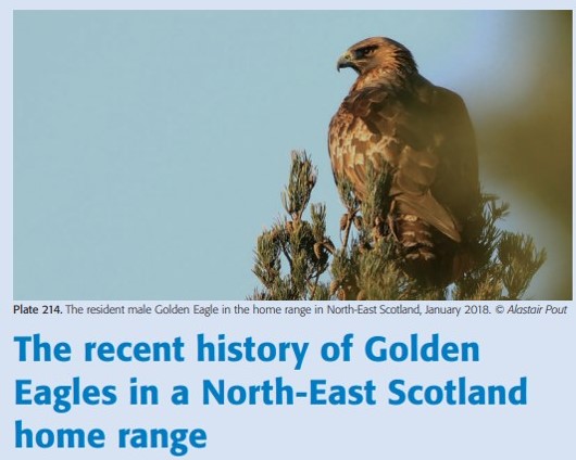 Raptor Persecution UK tweet media