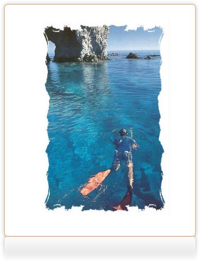 cabodepalos tweet media