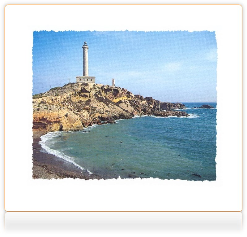 cabodepalos tweet media