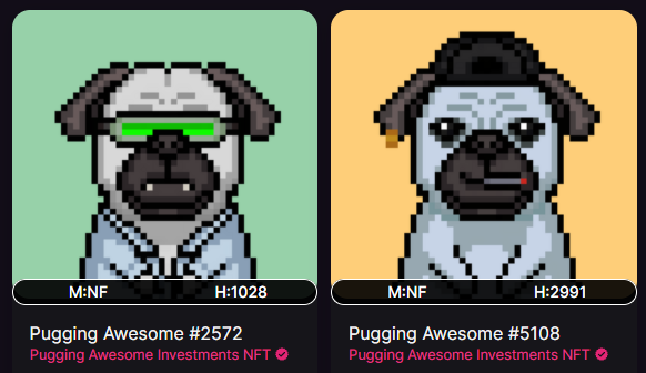 heizenbeur's tweet photo. @Bull_Number_12 @puggingawesome #PUGMI https://t.co/IoG0uKCWvv