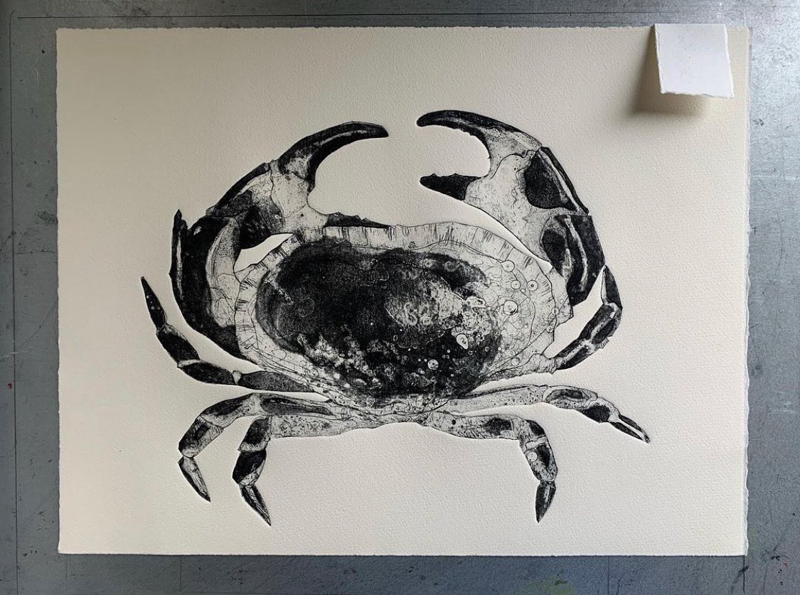 Lobsterandmor's tweet image. Some incredible art work heading our way 🦀 The awesome @marianhaf has kindly turned a Little Haven Crab into these prints 🤩 Available framed or unframed …just another reason to pay us a visit 😉 
#localart #madeinwales #printmaking #collograph #crab #browncrab #art #shoplocal