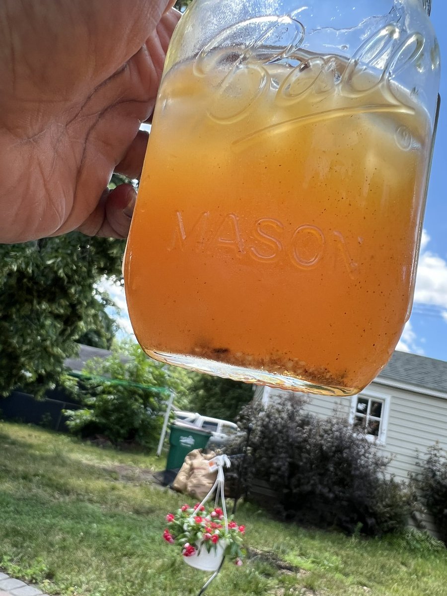 GiorgioDromani's tweet photo. Hand pressed, added cinnamon&amp;ginger powder, and sweetened with honey 🍯. https://t.co/wxQZ1tZ0s1