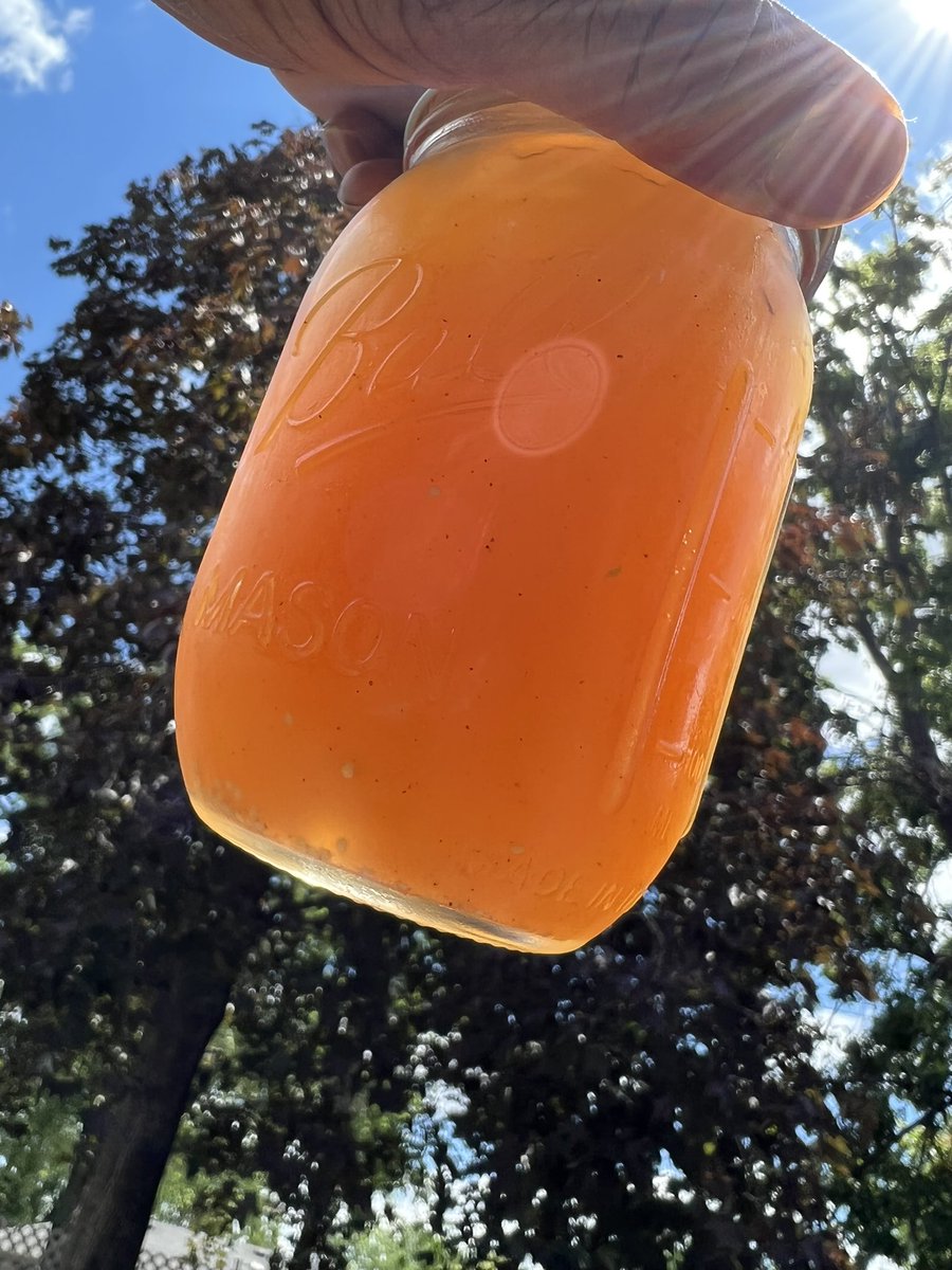 GiorgioDromani's tweet photo. Hand pressed, added cinnamon&amp;ginger powder, and sweetened with honey 🍯. https://t.co/wxQZ1tZ0s1