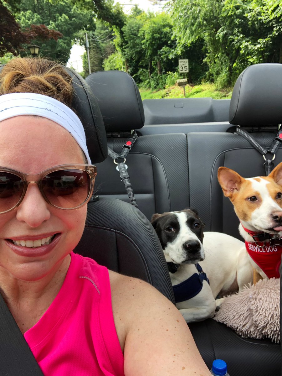 kristavenza's tweet photo. Convertible dogs!
#therapydogs #convertible #topdown #dogsoftwitter #puppylove #TennesseeJed #SugarMagnolia #MaggieAndJed #summertime #goingforadrive https://t.co/tKJ2CrqRGo