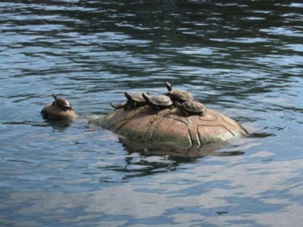 AlexandraHemmin's tweet photo. 💖💖💖🇺🇦🇺🇦🇺🇦🇺🇦🕊️🕊️🕊️🕊️🕊️🕊️
Toot Toot!!!! All aboard!!!!!! Look at the little one steering the way!!!!! HAHAHAHAHA💖💖😀😀😀😀🐢🐢🐢🐢🐢🐢🐢🐢😀😀😀😀 https://t.co/2KJDr99wKp