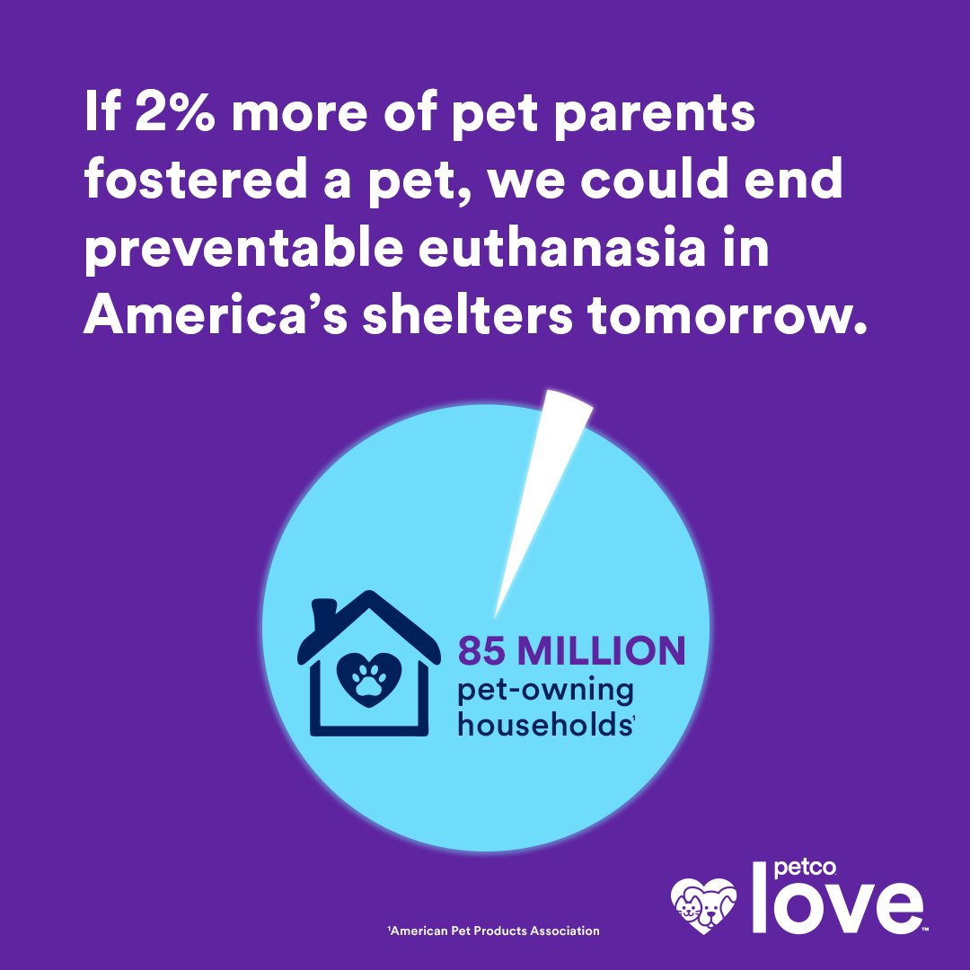 Be a part of the 2%!
There are easy ways to get started fostering.  Adults and older kittens that are already vetted and ready for adoption are an easy way to get started.  We would love to have you join us.  #Petcolove #nationalfosterapetmonth #catmatchers #furreverafter