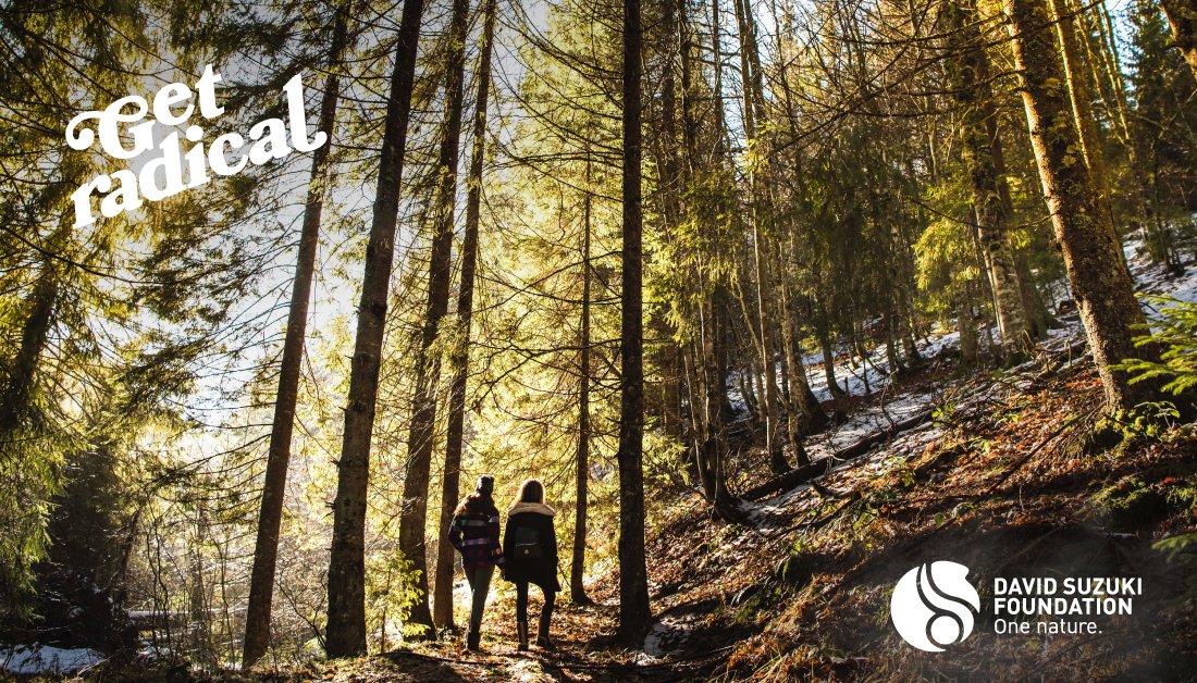 DavidSuzukiFDN's tweet photo. Threats to Earth’s life-support systems affect everyone everywhere. 🌍 But solutions are here, right how. You can help activate them.
Become a monthly donor by midnight June 30 and other supporters will match your gift: https://t.co/Ce46vO1IK7 #GetRadical https://t.co/uXga7CFHu9