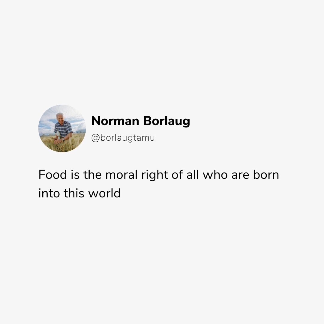 BorlaugTAMU's tweet image. &quot;Food is the moral right of all who are born into this world.&quot;

-Dr. Norman Borlaug
