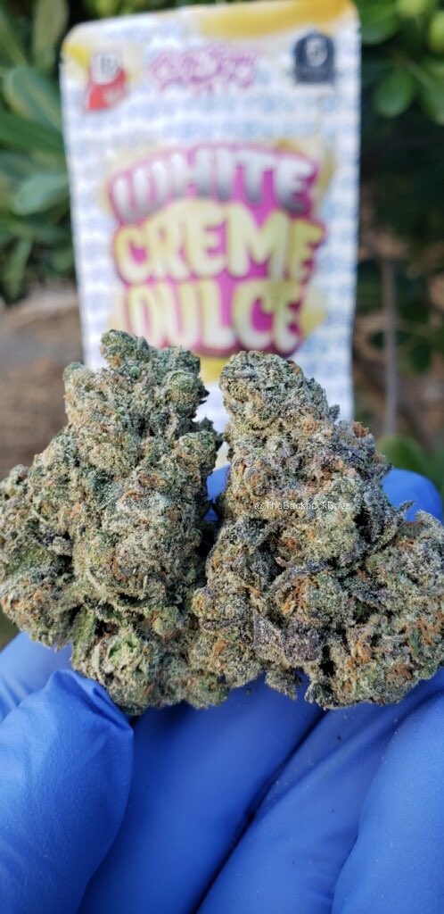White Creme Dulce #WhiteCremeDulce #TheBackpackBoyz