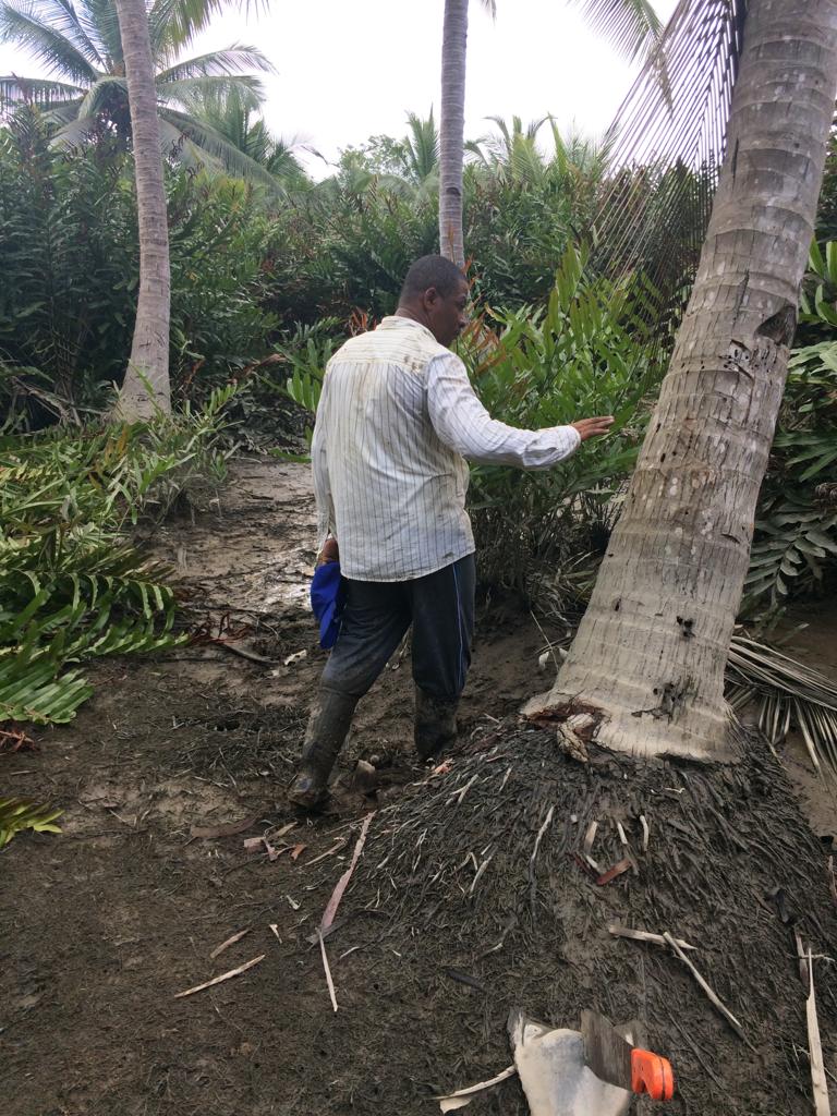 Papá usted es y será mi orgullo. Me enseñó a trabajar fuerte, a mantener la frente en alto, poner siempre la dignidad por encima, a ver siempre lo positivo, a buscar soluciones, a servir a la gente sin importar la retribución. Soy la mujer que soy gracias a usted. Feliz día papi!